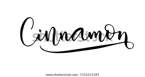 Written Modern Calligraphy Style Flourish Nice Stock Vector (Royalty
