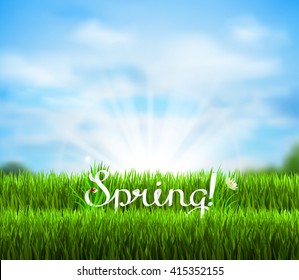 Written word Spring on the fresh green grass. Season background with blue sky