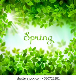 written word Spring. Season branches with fresh green leaves 