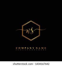 WS Initial luxury handwriting logo vector