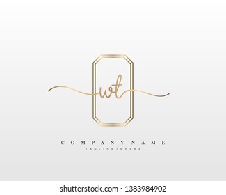 WT initial handwriting logo template vector