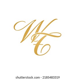 WT initial logo design vector stock