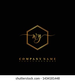 WY Initial luxury handwriting logo vector