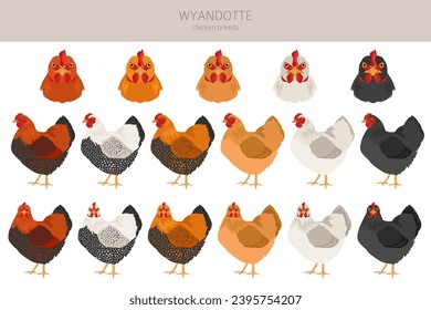 Wyandotte Chicken breeds clipart. Poultry and farm animals. Different colors set.  Vector illustration