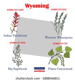 Wyoming. Set of USA official state symbols. Vector hand drawn illustration
