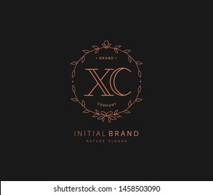 X C XC Beauty vector initial logo, handwriting logo of initial signature, wedding, fashion, jewerly, boutique, floral and botanical with creative template for any company or business.