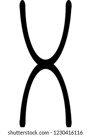 X Chromosome Icon