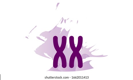 X Chromosome Icon. Feminism Vector Elements.  Feminism Banner Design