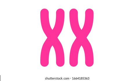 X Chromosome Icon. Feminism Vector Elements.  Feminism Banner Design