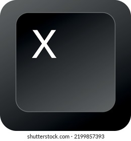 X key, button vector image