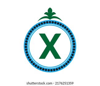  X Letter Logo Design Vector template 