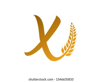 X Letter logo or symbol template design