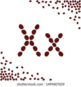 X letter made from coffee beans. Characters made from coffee beans. Coffee lettering isolated on white background. Letters for coffee shop