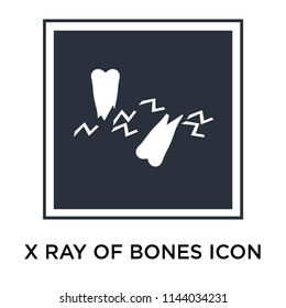 X ray of bones icon vector isolated on white background for your web and mobile app design, X ray of bones logo concept