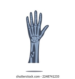 x ray broken bone hand anatomy icon vector isolated