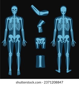 	
x ray clipart  vector human bones realistic x-ray 