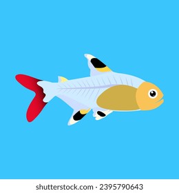 X ray fish cartoon vector