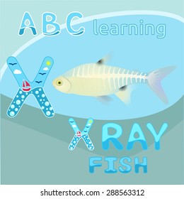 X is for X ray fish vector Letter X font Antarctic animal X-ray fish Transparent body & visible skeleton realistic character Northern sea life Animal wildlife design for education Funny sea alphabet