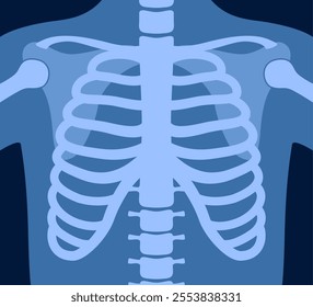 X ray of human skeleton chest and pelvis human bones. Torso roentgen shot. Medical analyzing. Anatomical bone medicine laboratory radial scan for disease diagnostic health care checkup. Vector