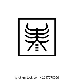 X ray outline vector icon in linear, outline style, isolated on white background