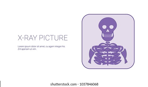 X Ray Picture Image Template Web Banner With Copy Space Vector Illustration