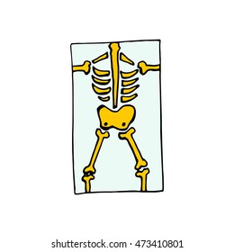 x ray skeleton icon isolated on white background
