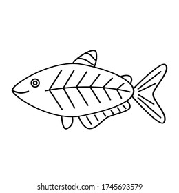 X Ray Tetra Fish Outline Picture For Coloring 