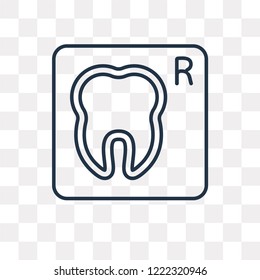 X ray vector outline icon isolated on transparent background, high quality linear X ray transparency concept can be used web and mobile
