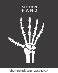 x rays graphic design , vector illustration