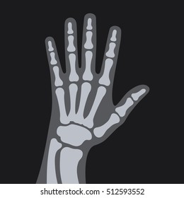 X Rays Style Human Hand. Vector