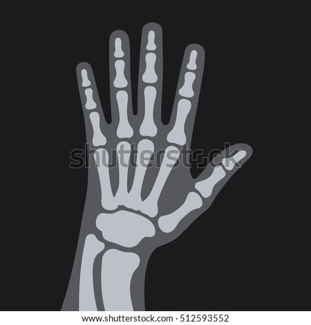 X Rays Style Human Hand. Vector