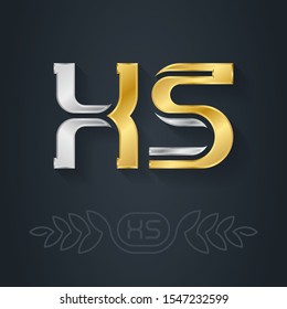 X and S - initials or logotype. XS - abbreviation for small size. Metallic 3d icon or logotype template. Design element with lineart option. Vector. Gold logo inlaid with silver.