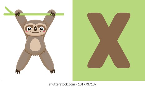X is for Xenarthra. Letter X. Xenarthra, cute funny illustration. Animal alphabet