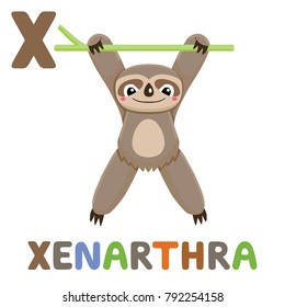 X is for Xenarthra. Letter X. Xenarthra, cute funny illustration. Animal alphabet