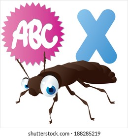X es para Xylodromus