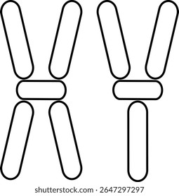 Os ícones dos cromossomos x e y são mostrados em um desenho simples determinando o gênero em humanos no campo da genética, biologia, especialmente no contexto da saúde fetal.