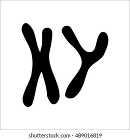 X and Y chromosome sign silhouette symbol icon on background