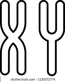 X & Y Chromosomes