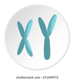 X and Y chromosomes icon in flat circle isolated vector illustration for web