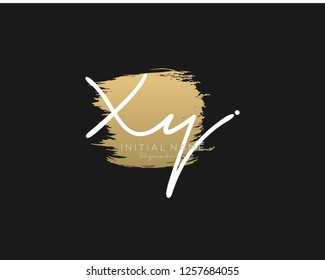 X Y Signature initial logo template vector
