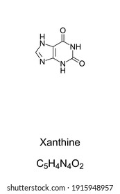 Xanthine, chemical formula and skeletal structure. Xanthic acid, a purine base, found in human body tissues and fluids. Used as a drug precursor and as a pesticide ingredient. Illustration. Vector.