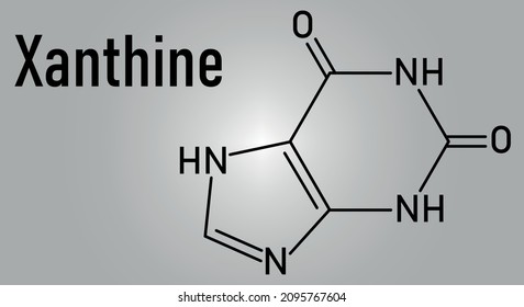 Xanthine purine base molecule. Skeletal formula.