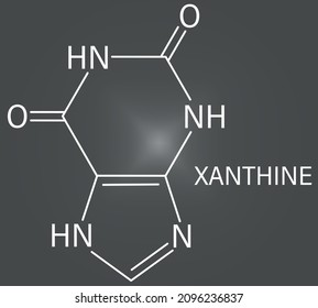 Xanthine purine base molecule. Skeletal formula.