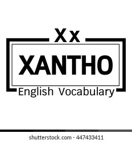 XANTHO english word vocabulary illustration design