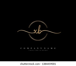XB initial handwriting logo template vector