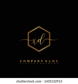 XD Initial luxury handwriting logo vector