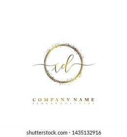 XD Initial luxury handwriting logo vector
