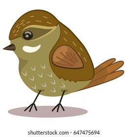 Xenops bird cartoon vector illustration isolated on white background.