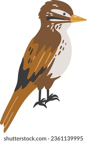 Vector de aves Xenops, vector abstract de xenops de bebé, ave forestal, animal lindo aislado, pájaro adorable para niños, ilustración vectorial