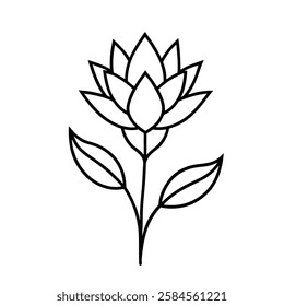 Xerophyllum tenax flower line art vector on white background